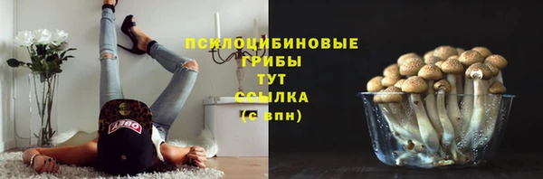 стаф Нея