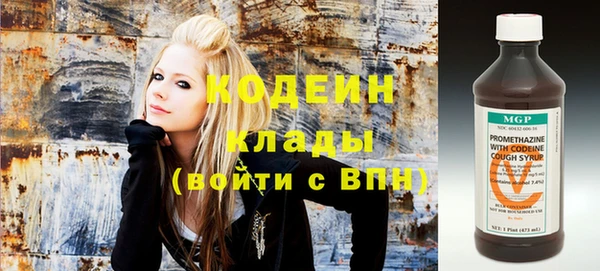 стаф Нея