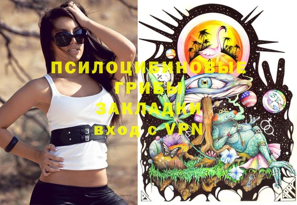 бошки Нефтегорск