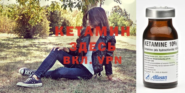 стаф Нея