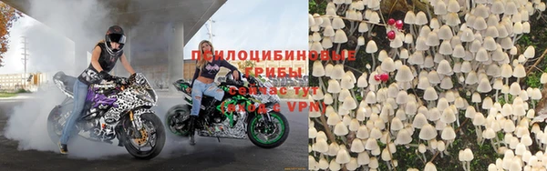 PSILOCYBIN Бикин