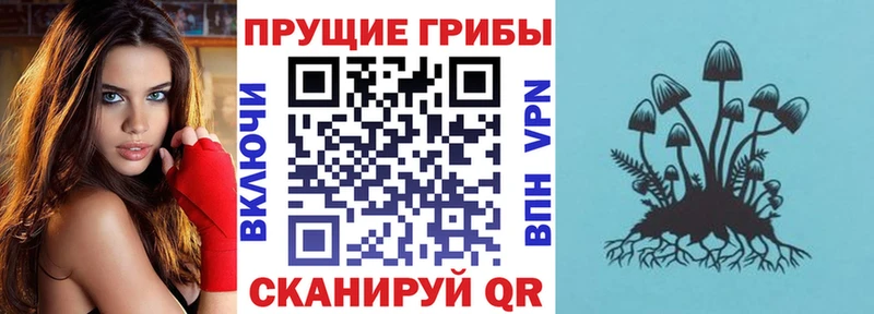 Галлюциногенные грибы мухоморы Павловский Посад