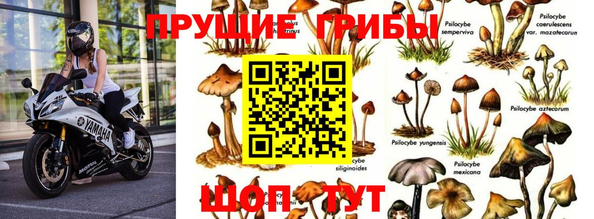 Alpha-PVP СОЛЬ кристаллы  Марихуана  Вход с VPN  Кокаин  ГАШИШ  Павловский Посад  Меф МЯУ МЯУ кристаллы 